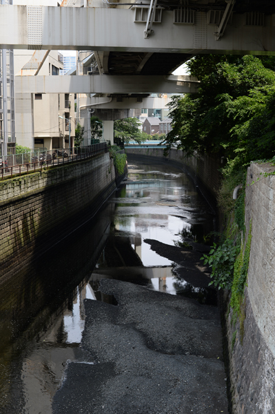 たぶん目黒川。