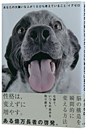 Ȃ̑匙Ȑl100lĂ邱
